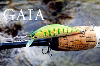 GAIA
