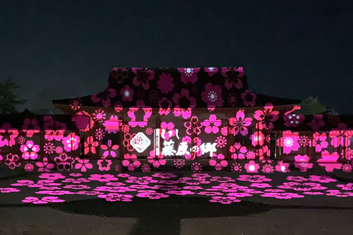 春爛漫ライトアップ