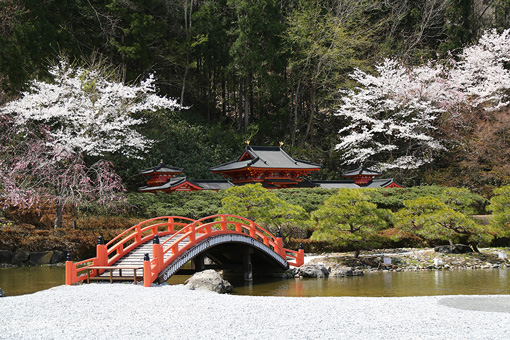 無量光院