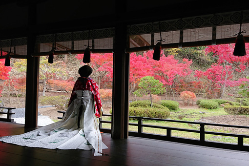 伽羅御所の紅葉