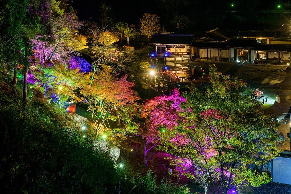 歴史公園えさし藤原の郷