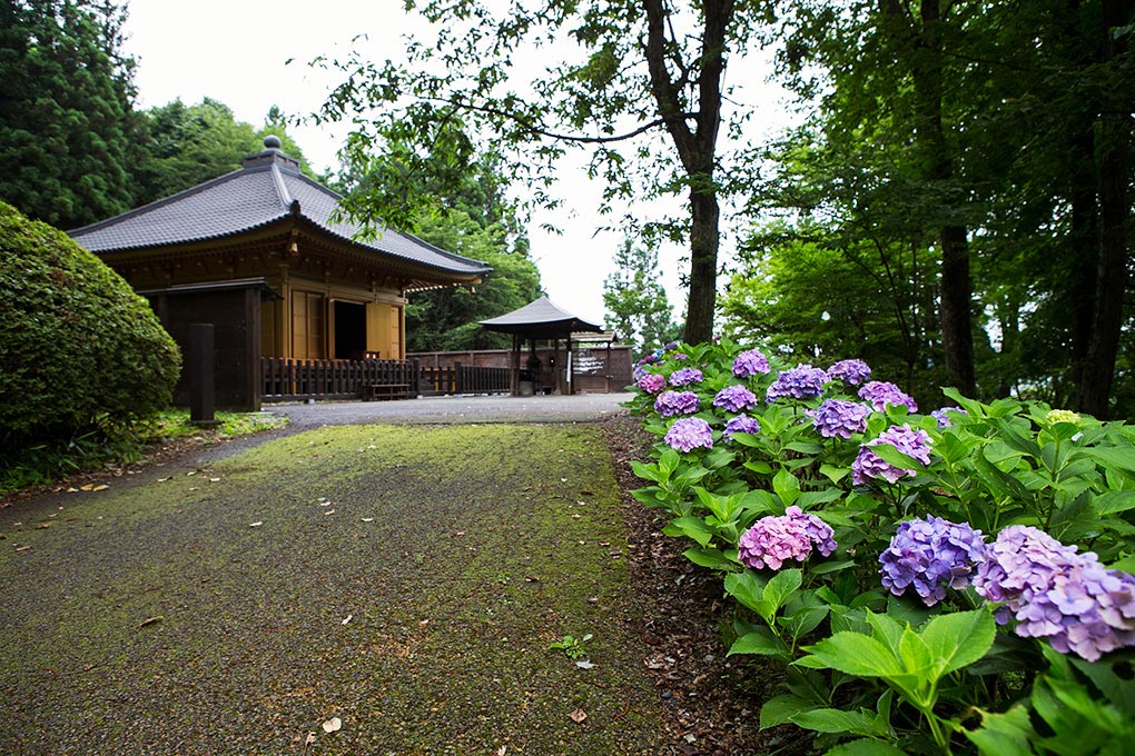 歴史公園えさし藤原の郷