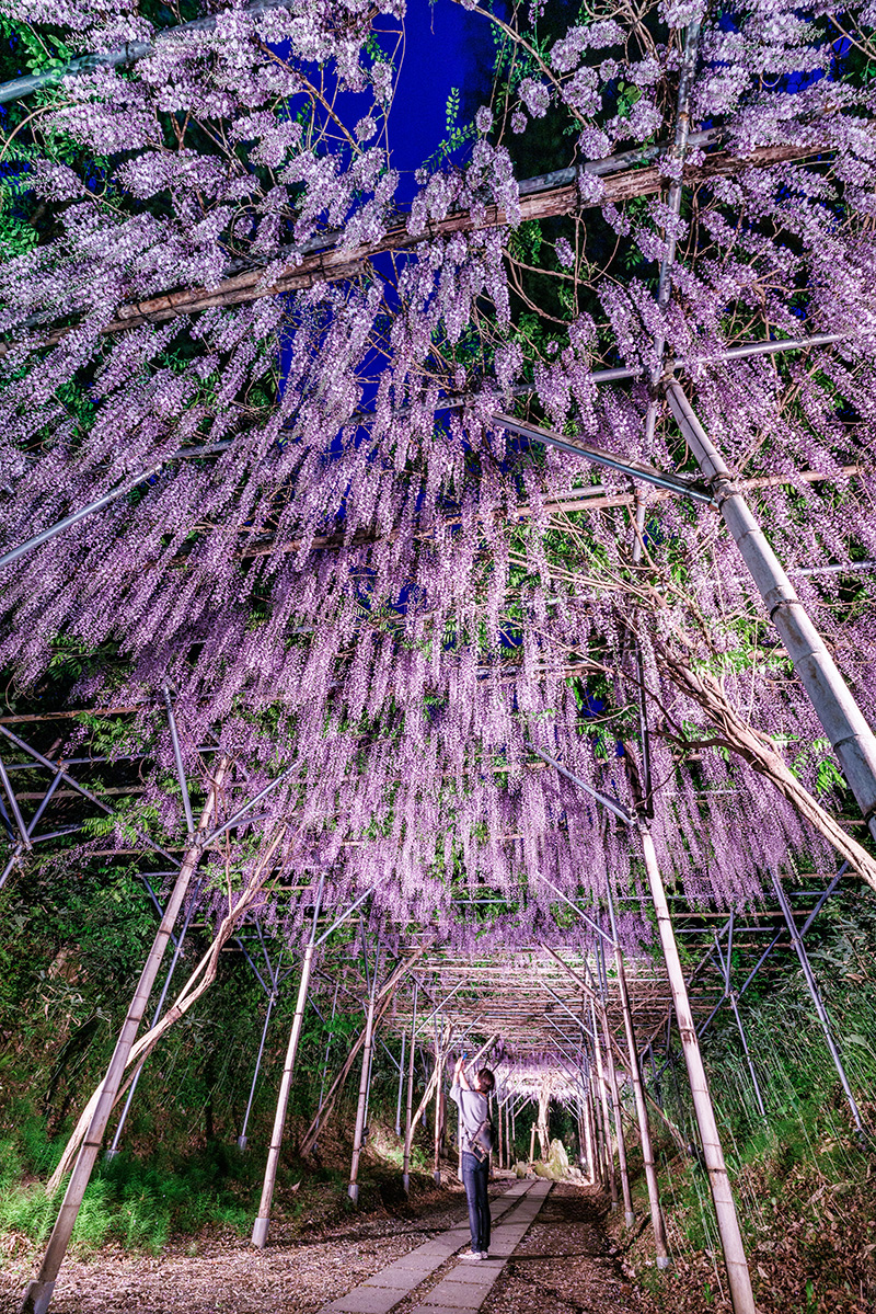 Instagramフォトコンテスト