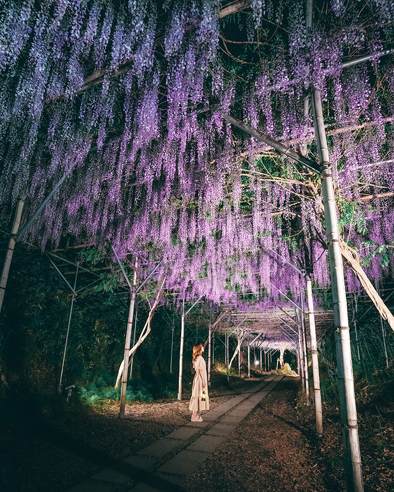 Instagramフォトコンテスト
