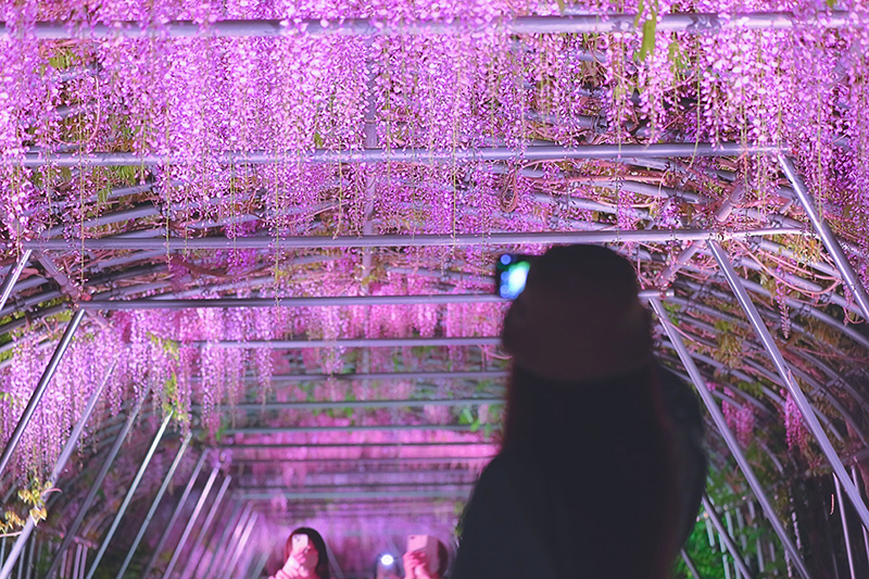 Instagramフォトコンテスト