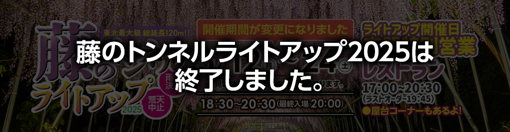 藤のトンネルライトアップ2025終了