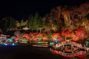 えさし藤原の郷の紅葉ライトアップの様子