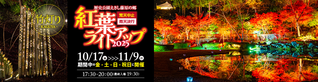 紅葉ライトアップ2025