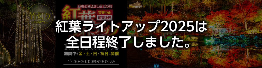 紅葉ライトアップ2025終了しました
